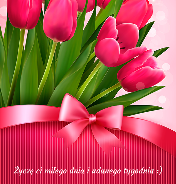 Różowe tulipany miłego tygodnia